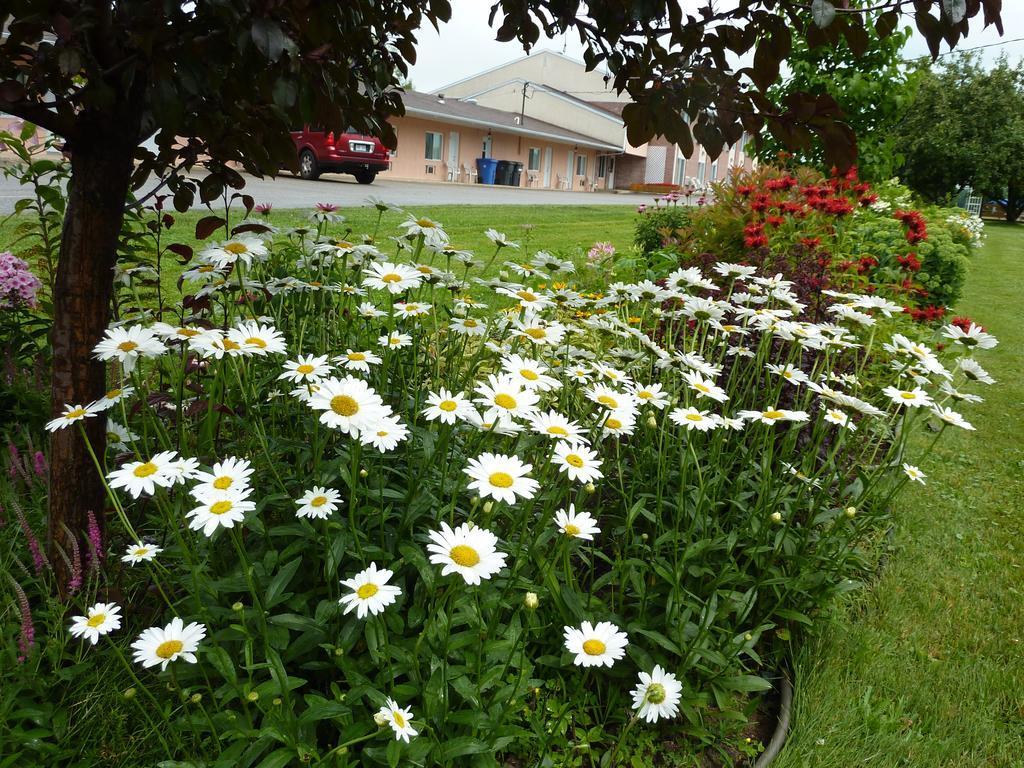 Motel Bécancour エクステリア 写真